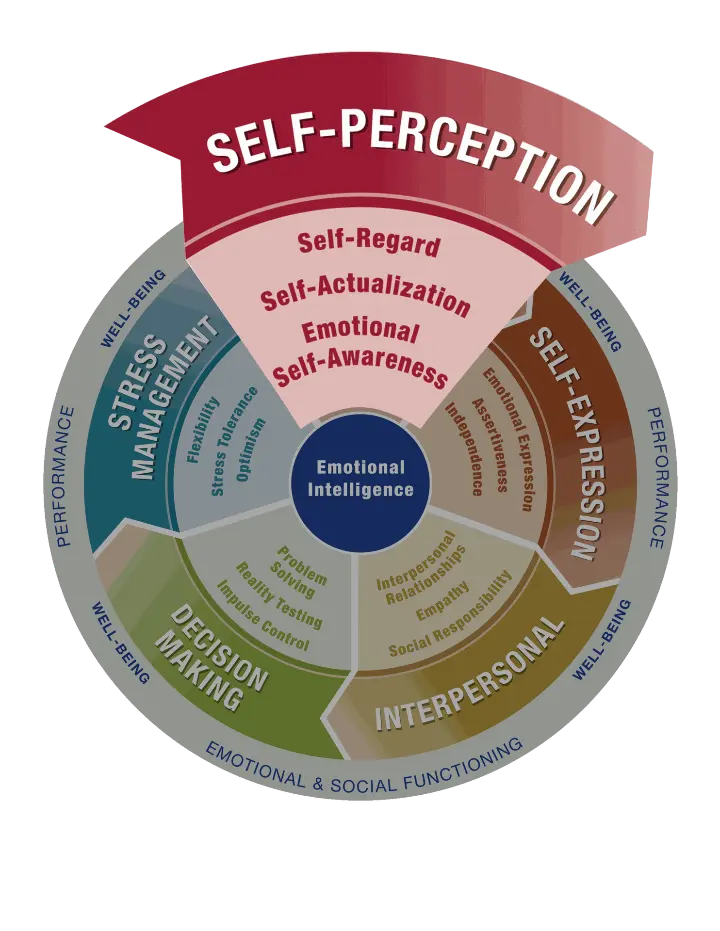 The graphic of the self-perception composite area of the EQ-i 2.0 along with the three related skills. It says Self-Perception Composite, Self-Regard, Self-Actualization, and Emotional Self-Awareness.